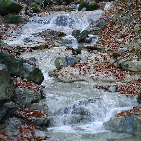 Bergblick فندق شايديغ