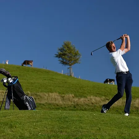 Bergblick ホテル シャイデック