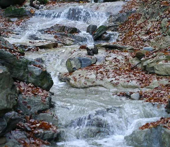 Bergblick Hotel Scheidegg