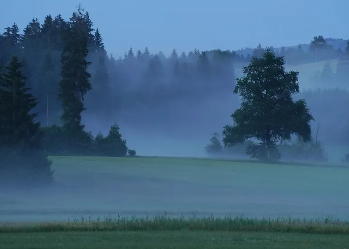 Hotel Bergblick Scheidegg