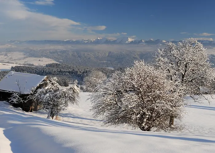Hotel Bergblick Scheidegg
