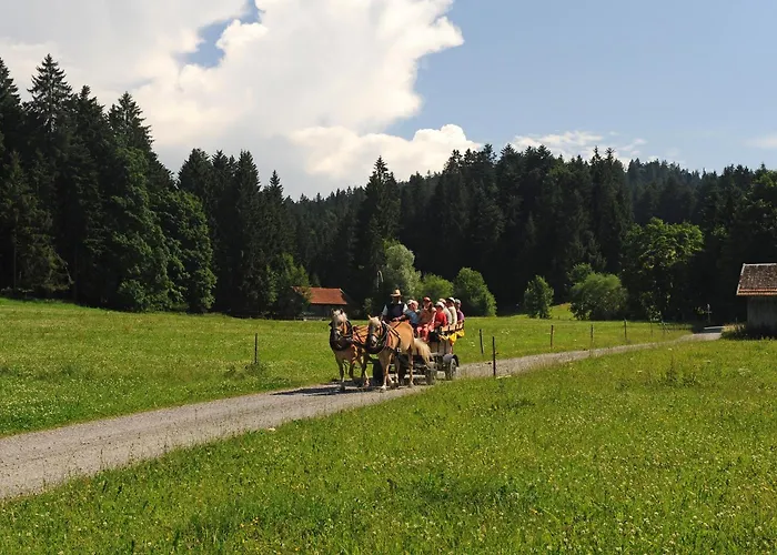 Bergblick Hotel Scheidegg