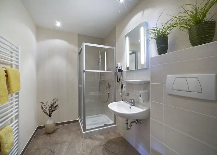 Bergblick 3* Scheidegg